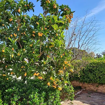 Il Melograno - Giuggiolo 別荘