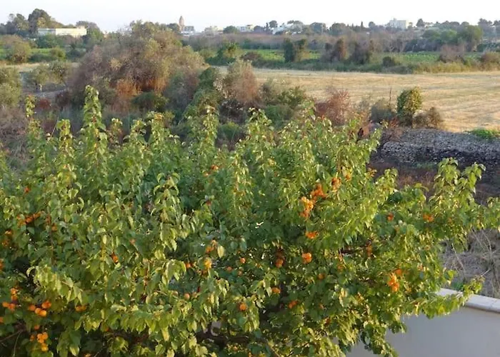 Il Melograno - Giuggiolo Ferienhaus Sannicola